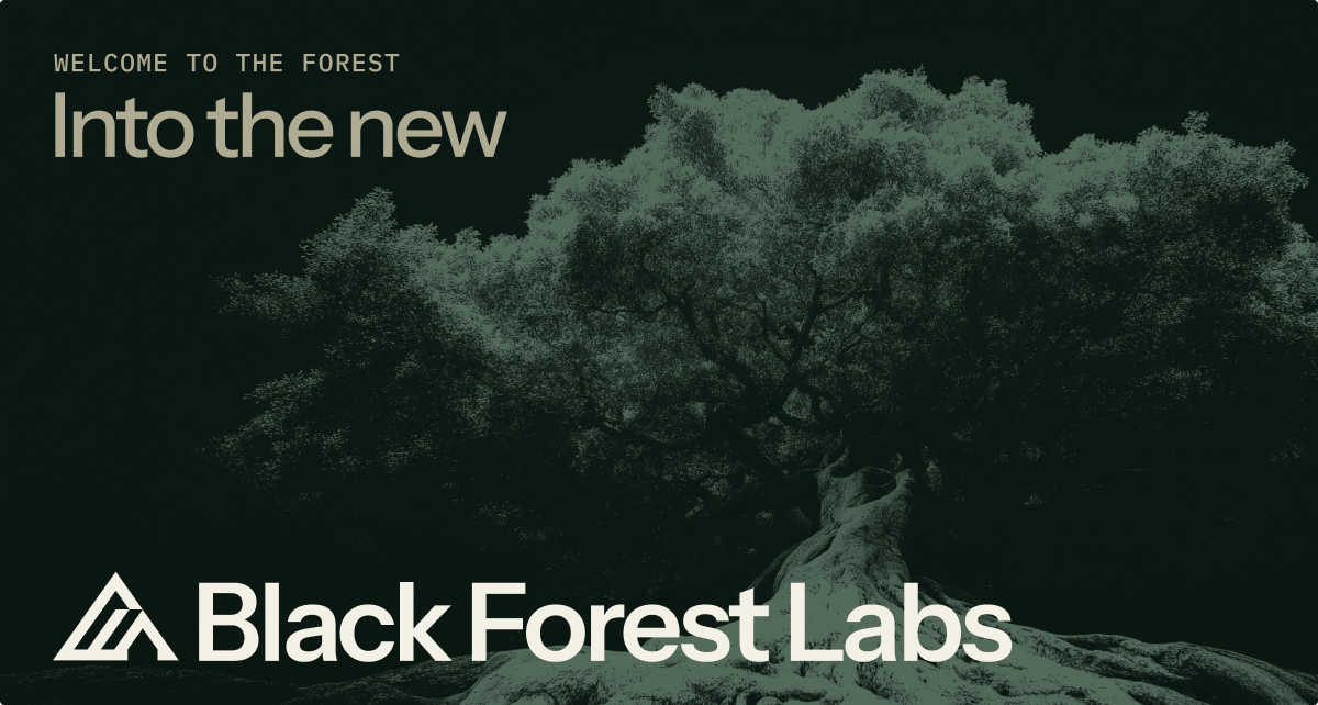 Black Forest Labs website