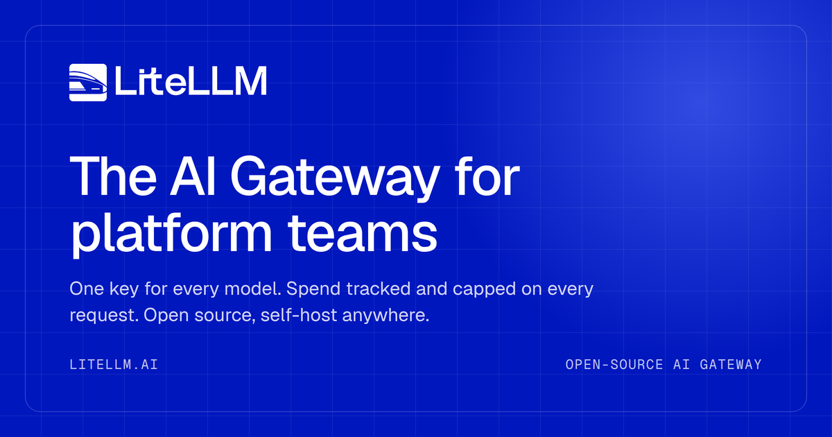 LiteLLM website