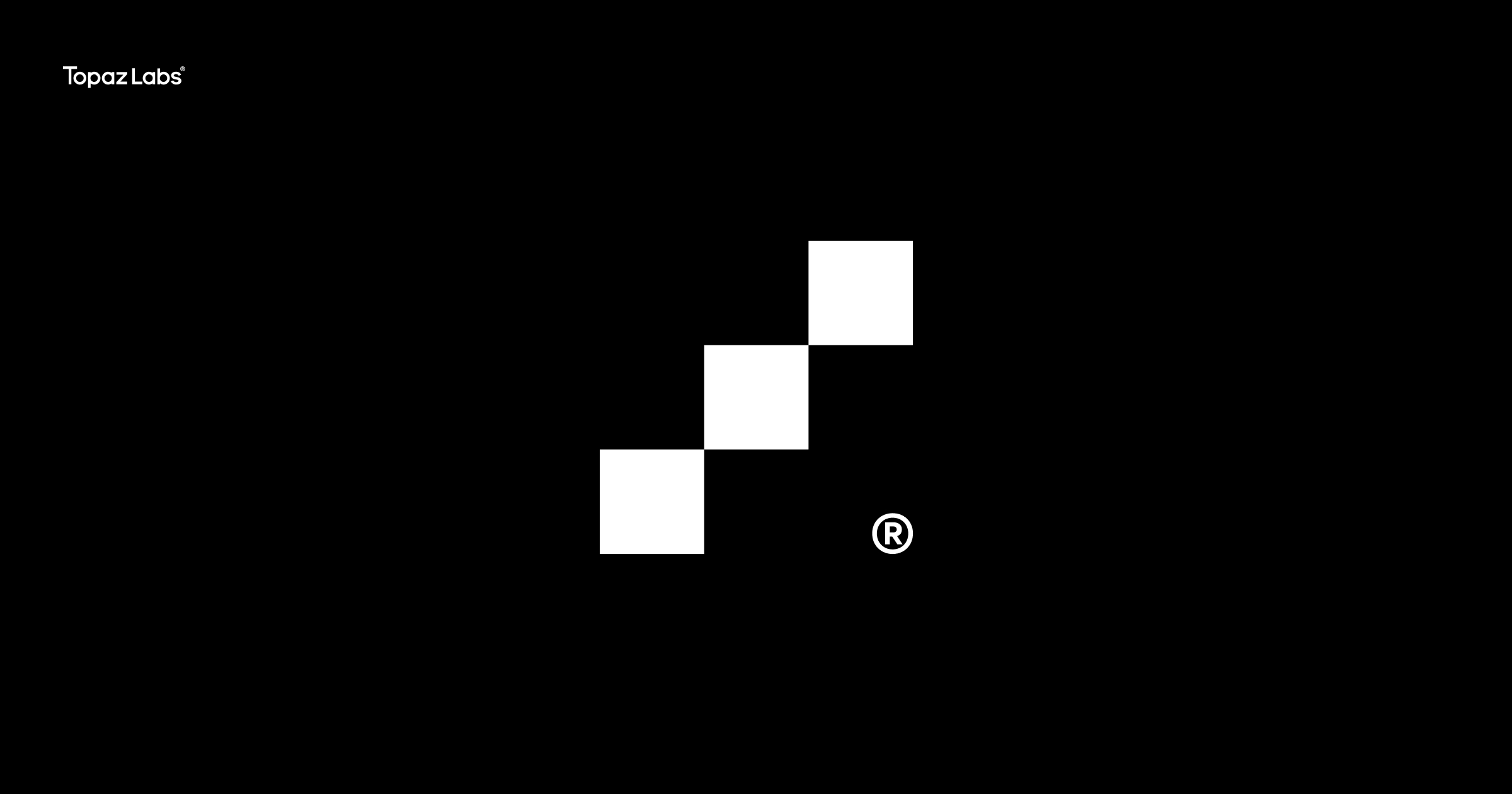 Topaz Labs website